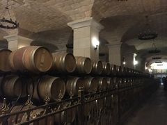 -北京张裕爱斐堡酒庄