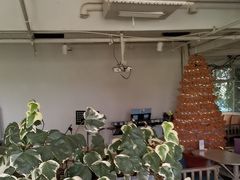 -水边(郯城店)