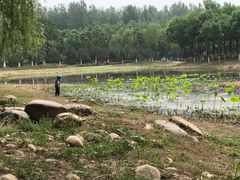 -东郊湿地公园