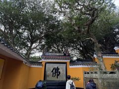 -普陀山慧济禅寺