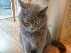 -春笙食堂.丼饭拉面寿司(GOGO新天地店)