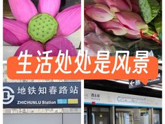 -知春路(地铁站)