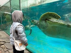 -海合安成都极地海洋公园