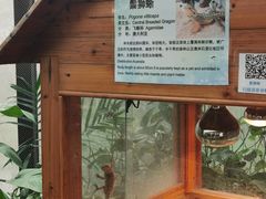 -上海大自然野生昆虫馆(东方明珠·爬宠昆虫探索中心)