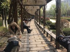 -南京信息职业技术学院-1食堂