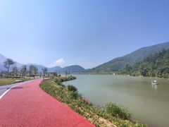 -武陵山森林公园