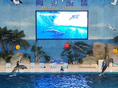 -泉城欧乐堡海洋极地世界