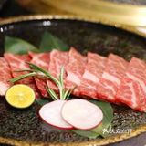 横膈膜新霸主‼️次世代横膈膜来喽‼️