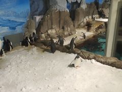 -成都浩海立方海洋公园