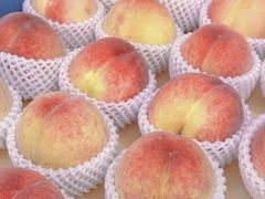 -老袁家蜜桃农场·阳山水蜜桃