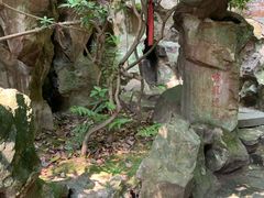 -杭州黄龙洞