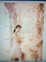 -苏菲亚婚纱影楼尊爵店(昆区店)