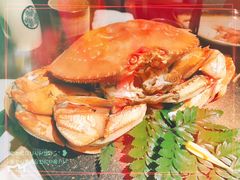 -和彩放题餐厅(酒仙桥店)
