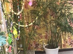 -樱花国际日语(徐家汇中心)