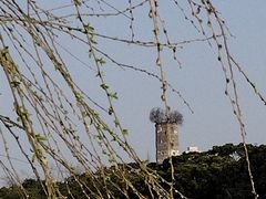 -江心屿景区