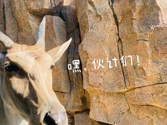 -北京野生动物园