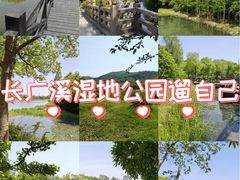 -长广溪湿地公园