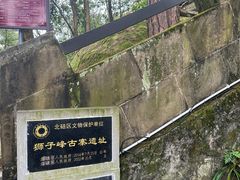 -缙云山景区