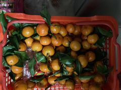 -吾家果精品水果(海第店)