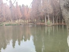 -捞渔河湿地公园