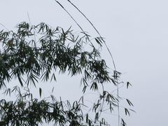 -佛图关公园