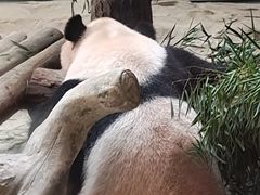 -常州淹城野生动物世界