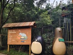 -合肥野生动物园