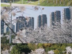 -黔灵山公园