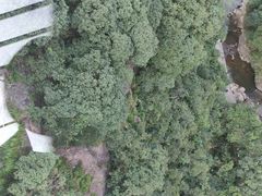 -宁波五龙潭景区