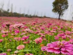 -泰山天颐湖旅游度假区