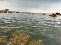 -养马岛旅游度假区