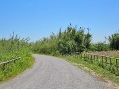 -宁波杭州湾国家湿地公园