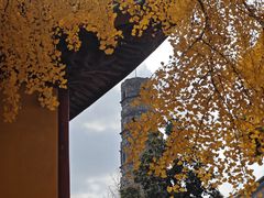 -上海青龙寺