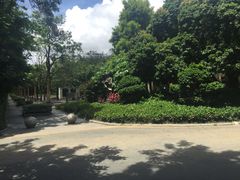 -月亮湾公园