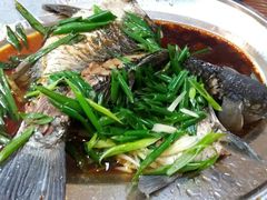 清蒸鲩鱼-农汤老店(顺联公园里店)