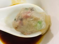 鱼包-章记正宗南岗鱼蛋火锅