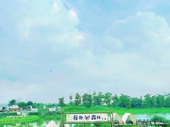 -空港花田景区