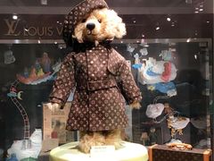 -济州岛泰迪熊博物馆