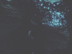 -怀托摩萤火虫洞