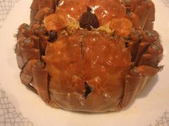 -老吉士酒家(天平路店)