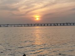 -宝安西湾红树林湿地公园