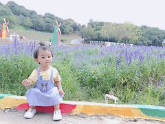 -松山湖梦幻百花洲