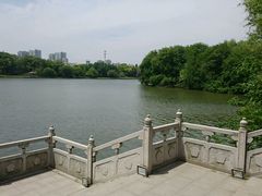 -梅园