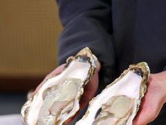 -阿鸡鱼庄·顺德鲜蒸小炒(亚运村店)
