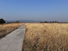 -良渚古城遗址公园