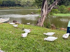 -惠州西湖风景名胜区-丰渚园