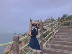 -广东惠东海龟国家级自然保护区