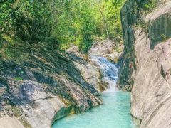 -广州白江湖森林公园