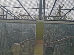 -宿豫区运河湾森林动物园