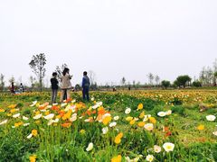-汉长安城未央宫国家考古遗址公园